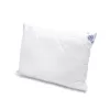 Brotex Polštář AeroLux™ Aloe Vera 1600g 70 x 90