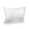 Brotex Péřový polštář PREMIUM 1100 g bílý 70 x 90 Bílá