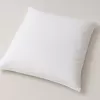 Brotex Péřový polštář PREMIUM 1100 g bílý 70 x 90 Bílá
