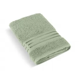 Brotex Froté ručník Linie 500g zelený Zelená