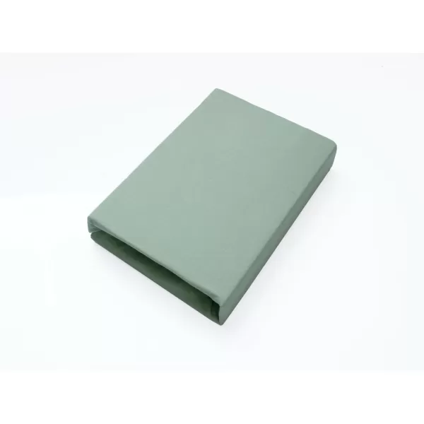 Brotex Jersey prostěradlo EXCLUSIVE mint Dětské 60 x 120 Mint