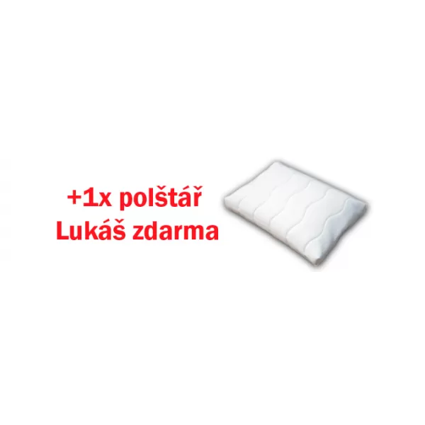 Dřevočal Matrace MARTINA + Zdarma polštář Lukáš