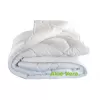 Brotex Přikrývka Aloe Vera zimní 1300g