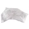 Brotex Přikrývka Thermo Aloe Vera zimní 1680g